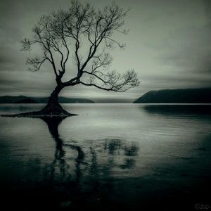 Meet your Posher, Charlie